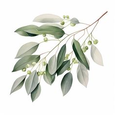 Eucalyptus Image in Chiaroscuro Art Style: Vector Clipart in 4K Eucalyptus Outline, Eucalyptus Clipart, Publishing Industry, Chiaroscuro Art, Doodle Stickers, Botanical Leaves, Black And White Stencil, Diy Watercolor Painting, Classy Tattoos