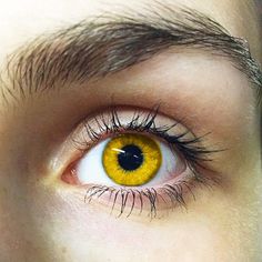 Blue And Green Eyes, Iris Eye, Beautiful Eyes Color, Long Eyelashes, Lenses Eye, Crazy Eyes, Eye Photography, Aesthetic Eyes, Human Eye