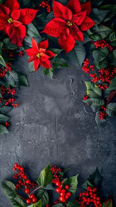 poinsettis, holly and red berries are arranged on a dark background with space for text