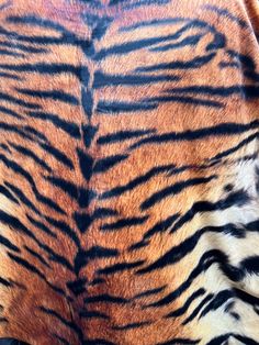 the back end of a tiger's fur