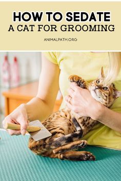 a woman holding a cat on her lap with the caption how to sedate a cat for grooming