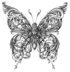 a drawing of a butterfly with intricate designs