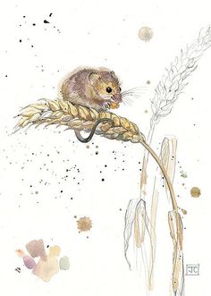 a watercolor painting of a mouse sitting on top of a stalk of wheat with sprouts