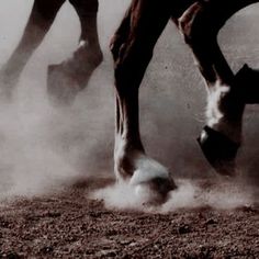 a horse is kicking up dust in the air with it's legs and feet