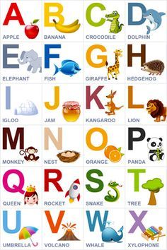 an alphabet poster with animals and letters