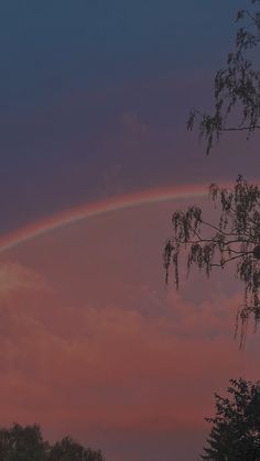 a rainbow is seen in the sky above some trees