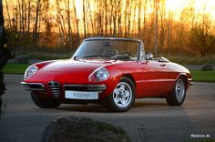 a red sports car parked in front of a tree with the sun setting behind it