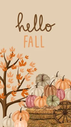 a basket full of pumpkins sitting next to a tree with the words hello fall written on it