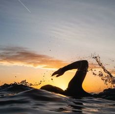 the silhouette of a bird is shown in the water as the sun sets behind it