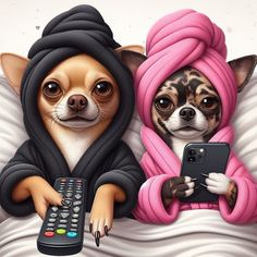 two chihuahuas dressed in robes and holding remote controls, one with a cell phone