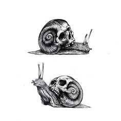 two drawings of snails and a skull