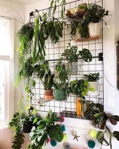 a room filled with lots of green plants on top of a metal grid mounted to the wall