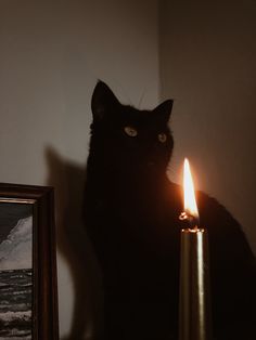 a black cat sitting next to a lit candle on top of a table in front of a painting