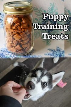 there is a dog that has his mouth open and the words puppy training treats above it