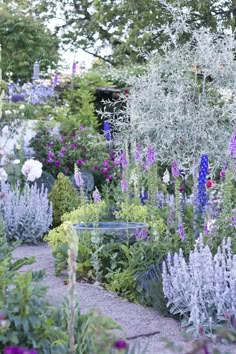 a garden filled with lots of purple and white flowers