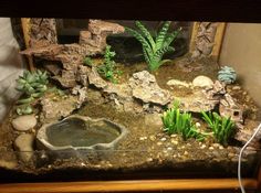 an aquarium with plants and rocks in it