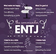 Entj Type, Mbti Aesthetic, Entj Mbti, Mbti Charts, Cognitive Functions, Mbti Memes, People Person