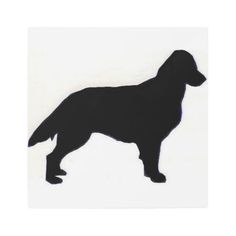 a black dog is standing on a white background