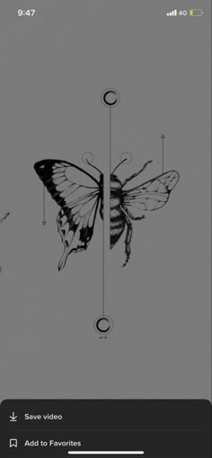 an image of a butterfly flying in the sky with arrows pointing up to it's wings