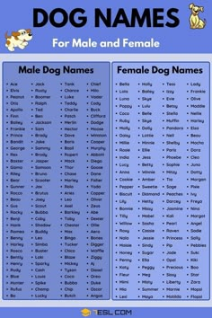 dog names for male and female