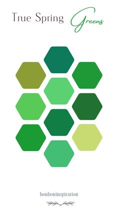 the cover of true spring greens, with green hexagons in different colors