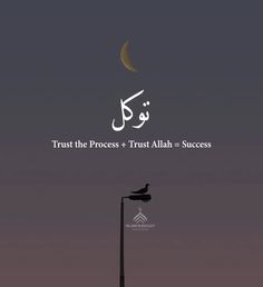 a bird sitting on top of a lamp post under a crescented sky with the words trust the process trust all - success