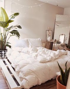 an unmade bed with white comforter and pillows in a bedroom next to a potted plant