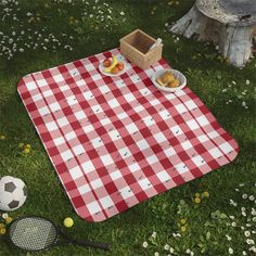 a red and white checkered picnic blanket with food on it