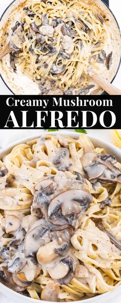 creamy mushroom alfredo is an easy and delicious dinner that's ready in less than 30 minutes