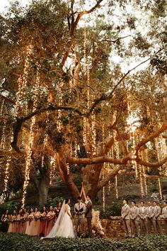 a bride and groom standing in front of a large tree with lights hanging from it