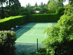 a tennis court surrounded by trees and bushes