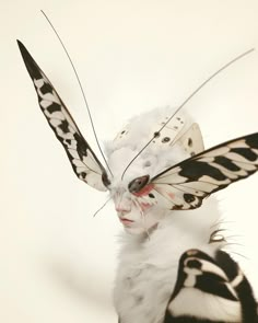 a woman with black and white feathers on her face wearing a butterfly mask in front of a zebra print background