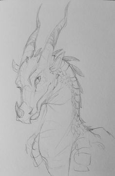 a pencil drawing of a dragon sitting down