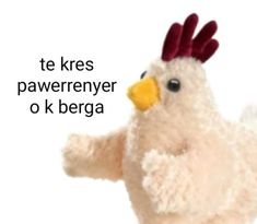 a white stuffed chicken with a red comb on it's head and the words te kres pawererneyer ok berga