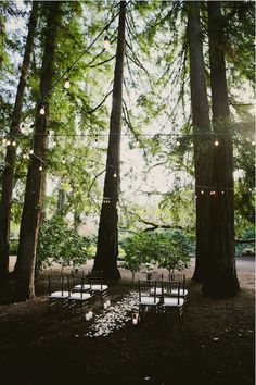 an outdoor ceremony in the woods with chairs and string lights strung from trees, surrounded by greenery