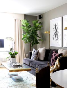 a living room filled with furniture and a potted plant