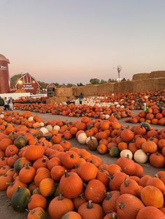 many pumpkins are stacked on the ground in front of a barn and silo