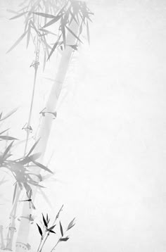 black and white photograph of bamboo in the snow