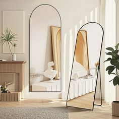 two mirrors in the middle of a room, one with a plant and another with a mirror on it