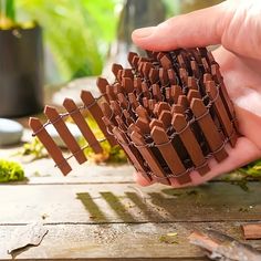 a hand holding a bunch of chocolate sticks