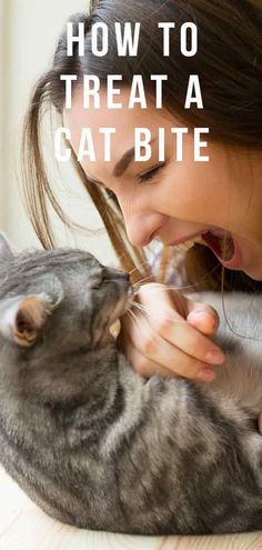 a woman feeding a cat with the words how to treat a cat bite on it