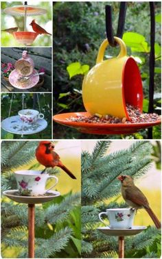 several different pictures of birds and teacups in the garden, including one with a red bird on it