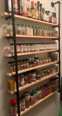 the shelves are full of spices and condiments