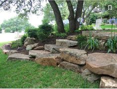 a stone wall in front of a tree