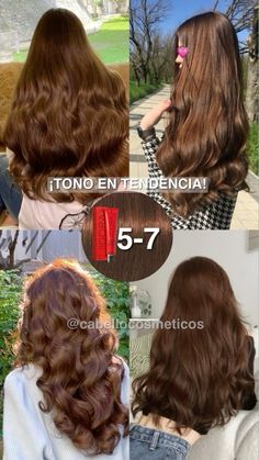 Igora Royal Chocolate Brown, Medium Mahogany Brown Hair, Coper Hairstyles Color, Latina Brown Hair, Brunette Chocolate Hair, Fall Hair 2024 Trends, Pelo Color Chocolate, Rubio Chocolate, Hair Colors 2024