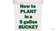 a coffee cup with the words how to plant in a 5 gallon bucket on it