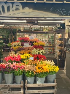 several buckets filled with different colored flowers in front of a flower shop sign that says meme