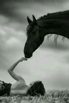 a woman laying on the ground next to a horse and touching it's nose