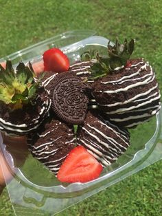 a person holding a plastic container filled with chocolate covered strawberries and oreo cookies