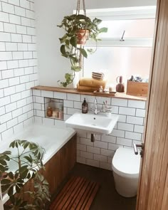 a bathroom with a toilet, sink and bathtub next to a potted plant